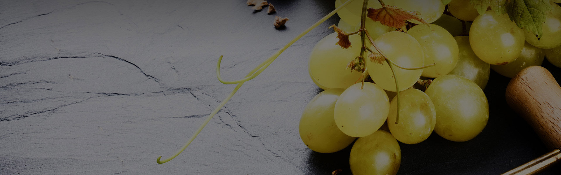 Ciccone-vineyard-and-winery-bisenti-abruzzo-italy Ciccone-vineyard-and-winery-bisenti-abruzzo-italy